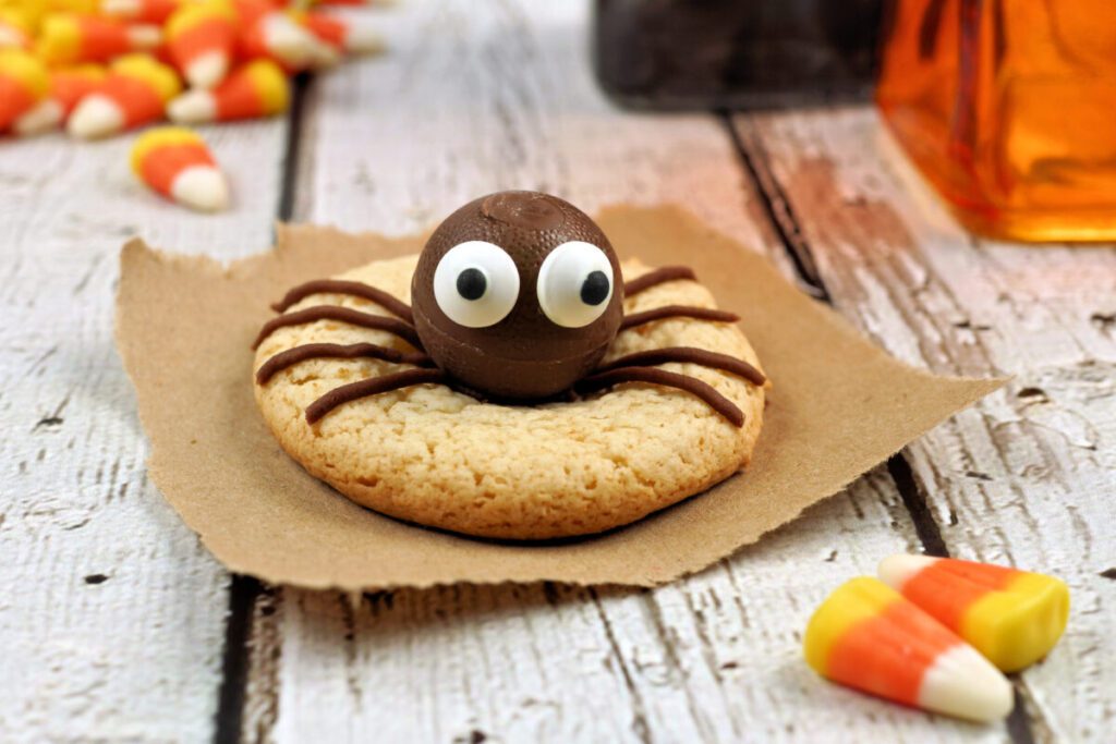 spider cookie with a chocolate ball with eyes and frosting legs on top of a cookie
